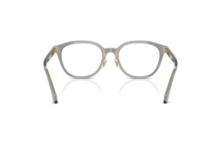 Vista posterior Versace VE3379D (5510)