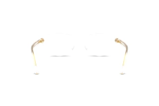 Πίσω όψη Versace VE3393D (148)