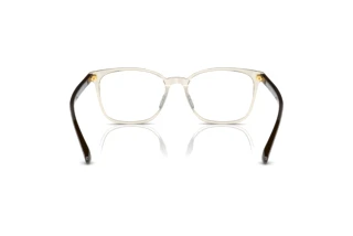Vista posterior Vogue Eyewear VO5399D (2998)