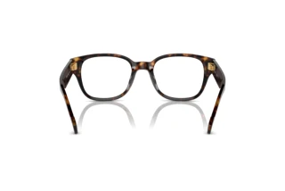 [glasses-back-view] Vogue Eyewear VO5529 (W656)