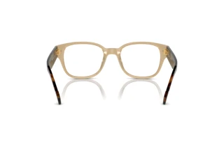 [glasses-back-view] Vogue Eyewear VO5529 (W900)