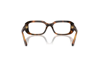 [glasses-back-view] Vogue Eyewear VO5568 (W656)