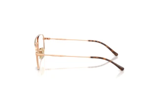 [glasses-side-view] Vogue Eyewear VY1001 (5152)