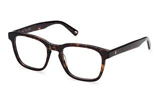 Web Eyewear WE5372 052