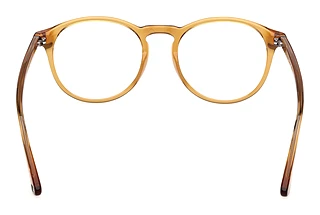 [glasses-back-view] Web Eyewear WE5387 (039)