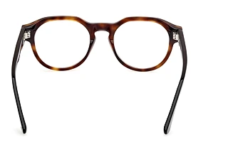Vy bakifrån Web Eyewear WE5421 (055)
