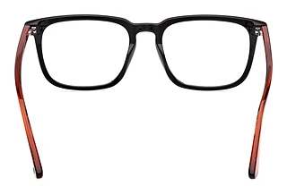 [glasses-back-view] Web Eyewear WE5430 (002)