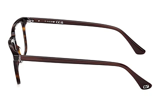 Sidovy Web Eyewear WE5430 (052)