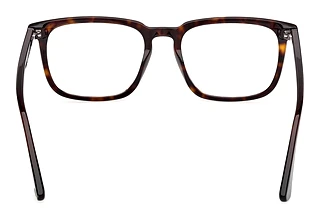 Vy bakifrån Web Eyewear WE5430 (052)