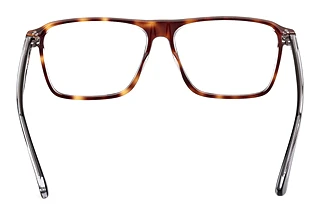 Vy bakifrån Web Eyewear WE5442 (056)