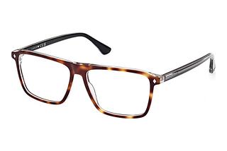 Web Eyewear WE5442 056