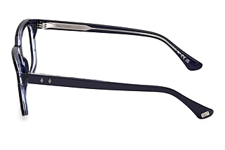 Sidovy Web Eyewear WE5445 (092)