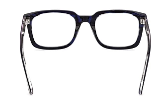 Vy bakifrån Web Eyewear WE5445 (092)