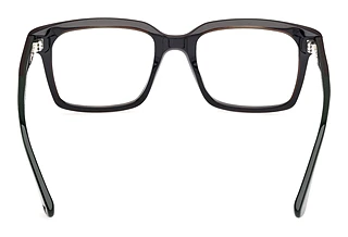 Vy bakifrån Web Eyewear WE5452 (098)
