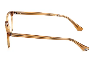 [glasses-side-view] Web Eyewear WE5455 (039)