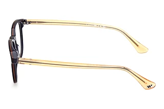 [glasses-side-view] Web Eyewear WE5455 (092)