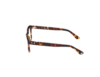 [glasses-side-view] Web Eyewear WE5459 (055)