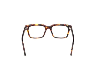 [glasses-back-view] Web Eyewear WE5459 (055)