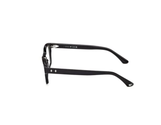 Vista lateral Web Eyewear WE5460 (001)