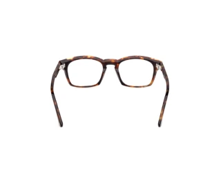 Vedere din spate Web Eyewear WE5460 (052)