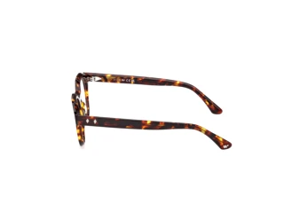 [glasses-side-view] Web Eyewear WE5461 (055)