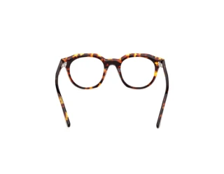 [glasses-back-view] Web Eyewear WE5461 (055)