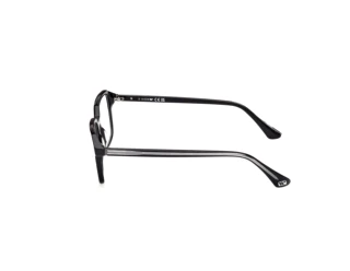 Zijaanzicht Web Eyewear WE5463 (005)