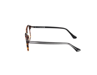 Vista lateral Web Eyewear WE5463 (056)