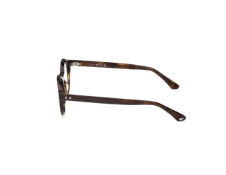 [glasses-side-view] Web Eyewear WE5472 (052)