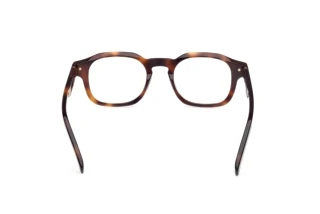 [glasses-back-view] Zegna EZ5293 (052)