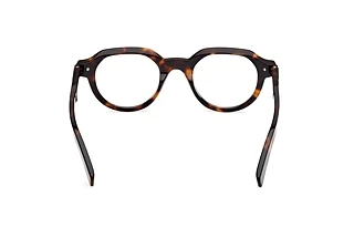 Vy bakifrån Zegna EZ5303 (055)