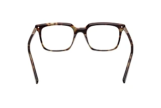 [glasses-back-view] Zegna EZ5309 (052)