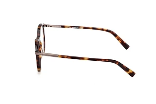Sidovy Zegna EZ5310 (055)