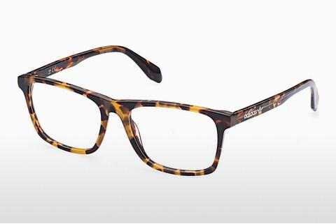 Kacamata Adidas Originals OR5022 053