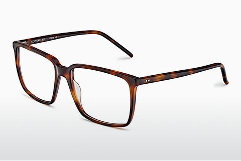 Brille Etnia Barcelona COCTEAU HV