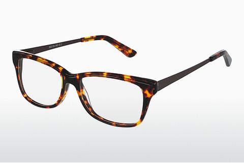Designer briller Fraymz A81 B