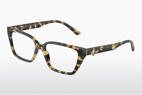 Eyewear Jimmy Choo JC3008 5004