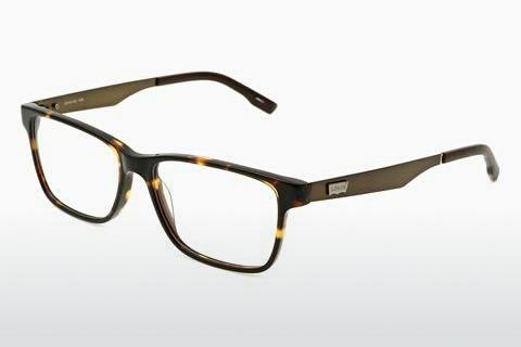 专门设计眼镜 Levis LS126 03
