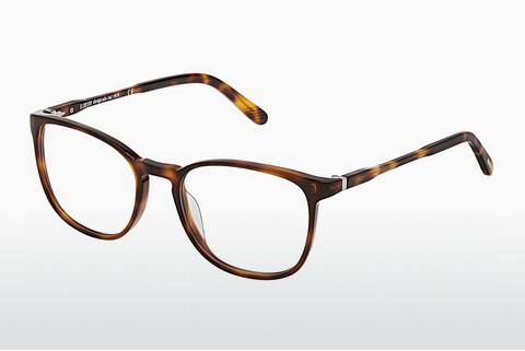 专门设计眼镜 Lozza VL4202 0752