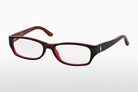 Glasses Ralph Lauren RL6058 5255