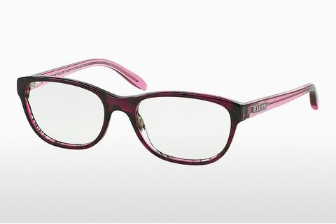 Glasses Ralph RA7043 1154