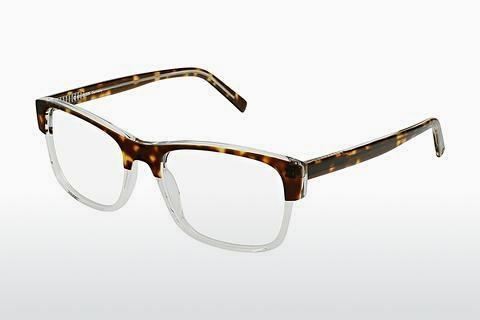 Glasses Rocco by Rodenstock RR458 B