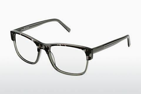 Brilles Rocco by Rodenstock RR458 C