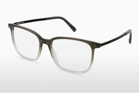 Očala Rodenstock R5349 C