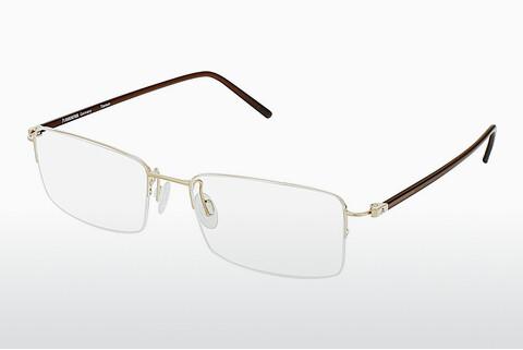 Glasögon Rodenstock R7074 D