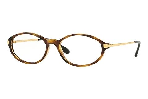 Eyewear Sferoflex SF1574 1020
