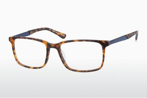 Glasses Superdry SDO Domenic 102
