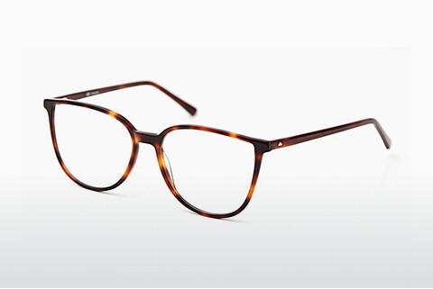 专门设计眼镜 Sur Classics Vivienne (12516 havana)