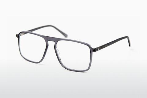 Gafas de diseño Sur Classics Pepin (12518 grey)