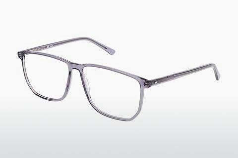 Gafas de diseño Sur Classics Roger (12519 grey)